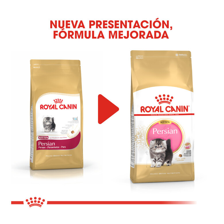 10 kg Royal Canin Kitten Persa ração para gatinhos,  Imagem número 3 10 kg Royal Canin Kitten Persa ração para gatinhos, , large Imagem número 3