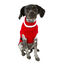 Wonder Christmas Santa Camisola de Natal para cães, , large Indicador imagem número 1