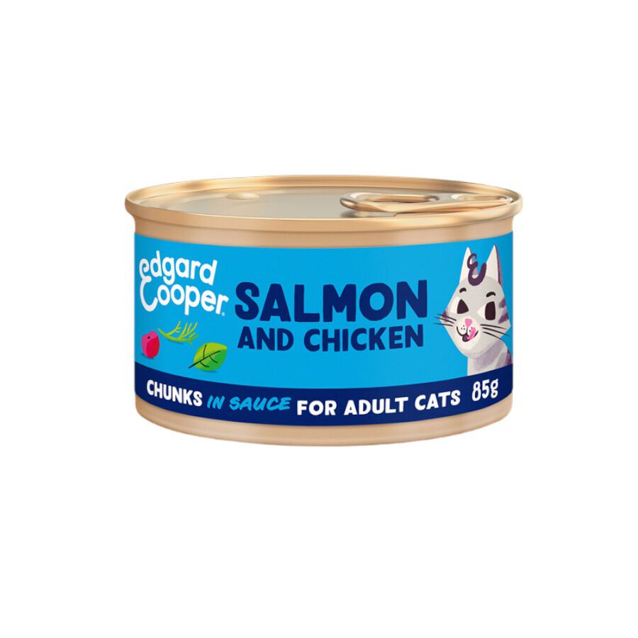 85 g Edgard & Cooper Adult Alimento h&uacute;mido de salm&atilde;o e frango em lata para gatos   , , large Imagem n&uacute;mero 1