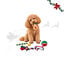 1 pack x 5 uns. Wonder Christmas Caixa de Snacks e Brinquedos para C&atilde;es, , large Indicador imagem n&uacute;mero 1