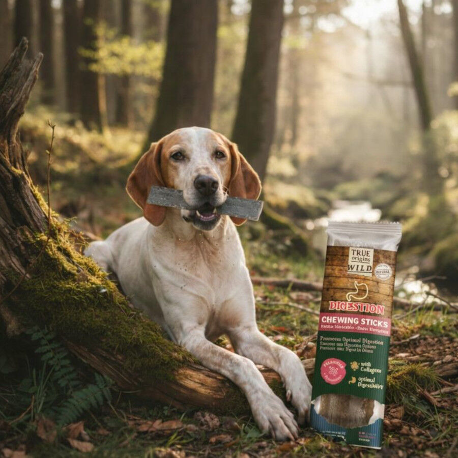 1 un. True Origins Digestion Chewing Stick Snack c&atilde;es, , large Imagem n&uacute;mero 1