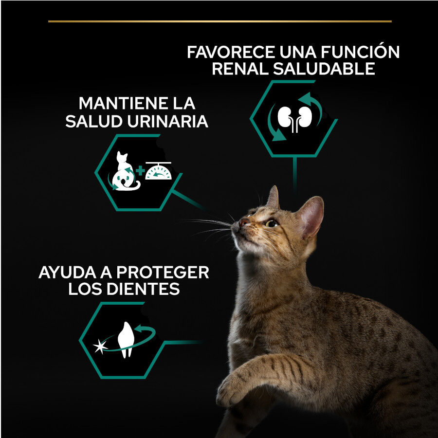 12 kg (10 + 2 kg gr&aacute;tis!) Pro Plan Adult Sterilized Salm&atilde;o ra&ccedil;&atilde;o para gatos, , large Imagem n&uacute;mero 2