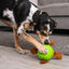 Outward Hound Snuffle n’ Treat Bola Interativa Porta-Snacks para cães, , large Indicador imagem número 3