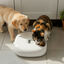 All For Paws Lifestyle Comedouro Autom&aacute;tico Branco para c&atilde;es e gatos, , large Indicador imagem n&uacute;mero 1