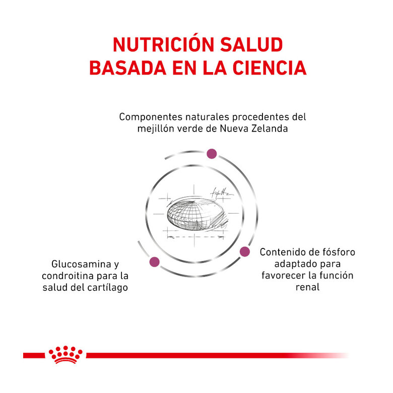 2 kg Royal Canin Veterinary Mobility ração para gatos,  Imagem número 3 2 kg Royal Canin Veterinary Mobility ração para gatos, , large Imagem número 3