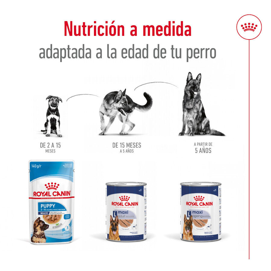 410 g Royal Canin Maxi Ageing 5+ Pat&ecirc; em lata para c&atilde;es, , large Imagem n&uacute;mero 5