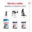 410 g Royal Canin Maxi Ageing 5+ Patê em lata para cães, , large Indicador imagem número 5