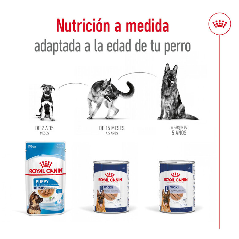 410 g Royal Canin Maxi Ageing 5+ Patê em lata para cães,  Imagem número 5 410 g Royal Canin Maxi Ageing 5+ Patê em lata para cães, , large Imagem número 5