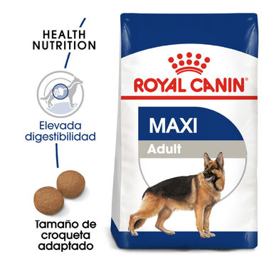 Royal Canin Adult Maxi ração para cães