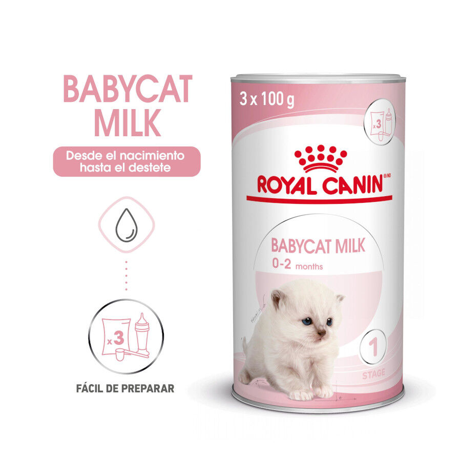 300 g Royal Canin Leite para gatinhos primeiro ano, , large Imagem n&uacute;mero 3