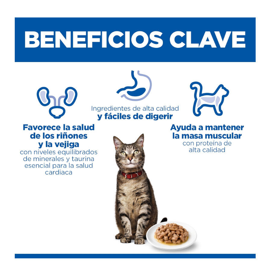 85 g Hill's Science Plan Adult Frango saqueta para gatos, , large Imagem n&uacute;mero 4