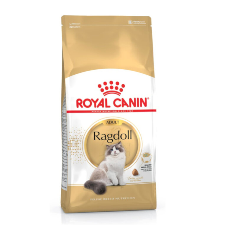 2 kg Royal Canin Adult Ragdoll ração para gatos,  Imagem número 1 2 kg Royal Canin Adult Ragdoll ração para gatos, , large Imagem número 1