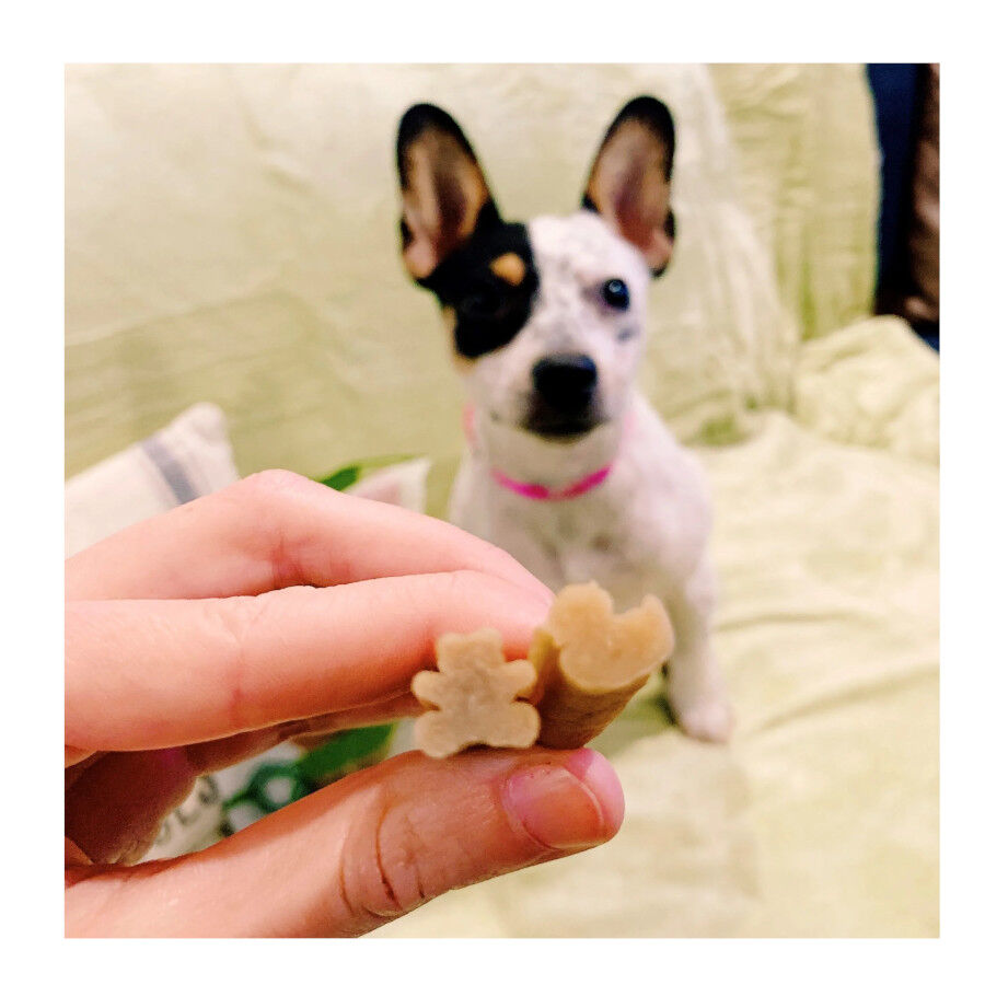 28 sticks Whimzees Puppy XS/S Snacks Dent&aacute;rios Naturais para cachorros, , large Imagem n&uacute;mero 4