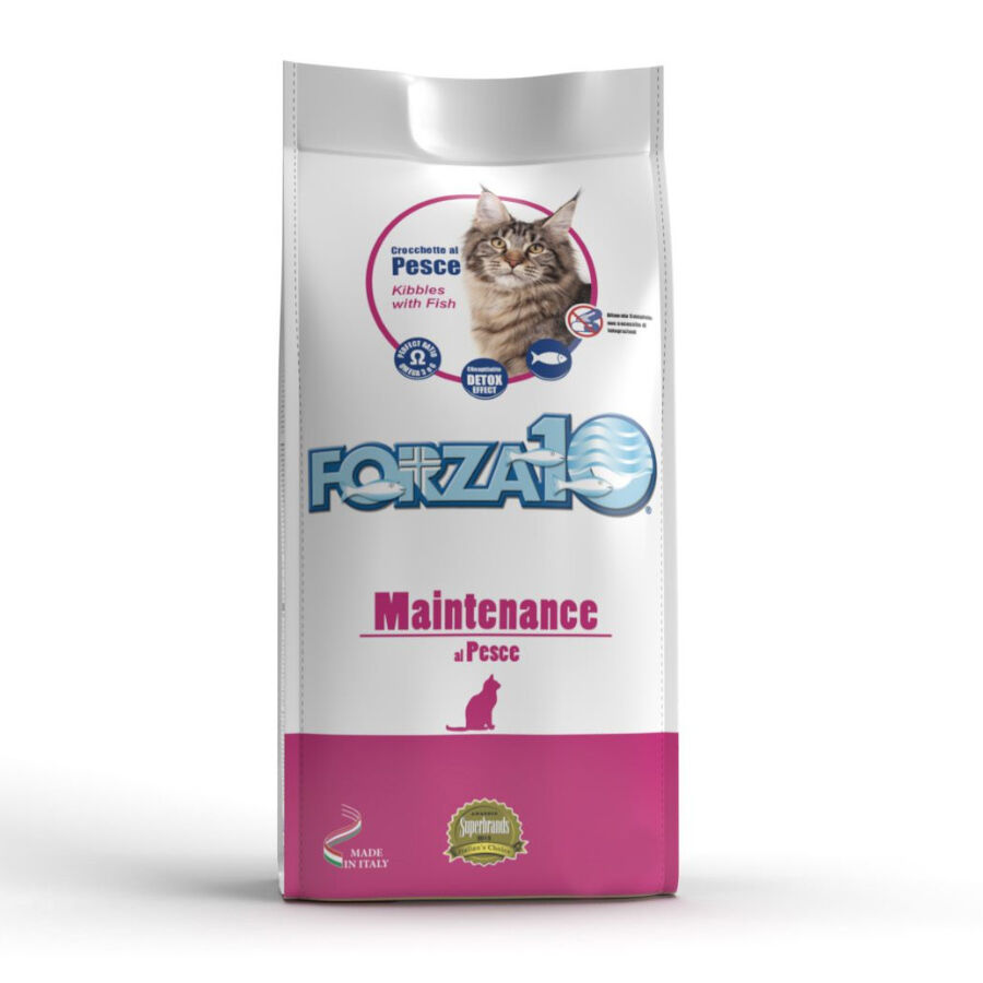 10 kg Forza 10 Maintenance Peixe ra&ccedil;&atilde;o para gatos, , large Imagem n&uacute;mero 1