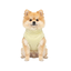 Gotoo Camisola Polar Amarela para c&atilde;es, , large Indicador imagem n&uacute;mero 7