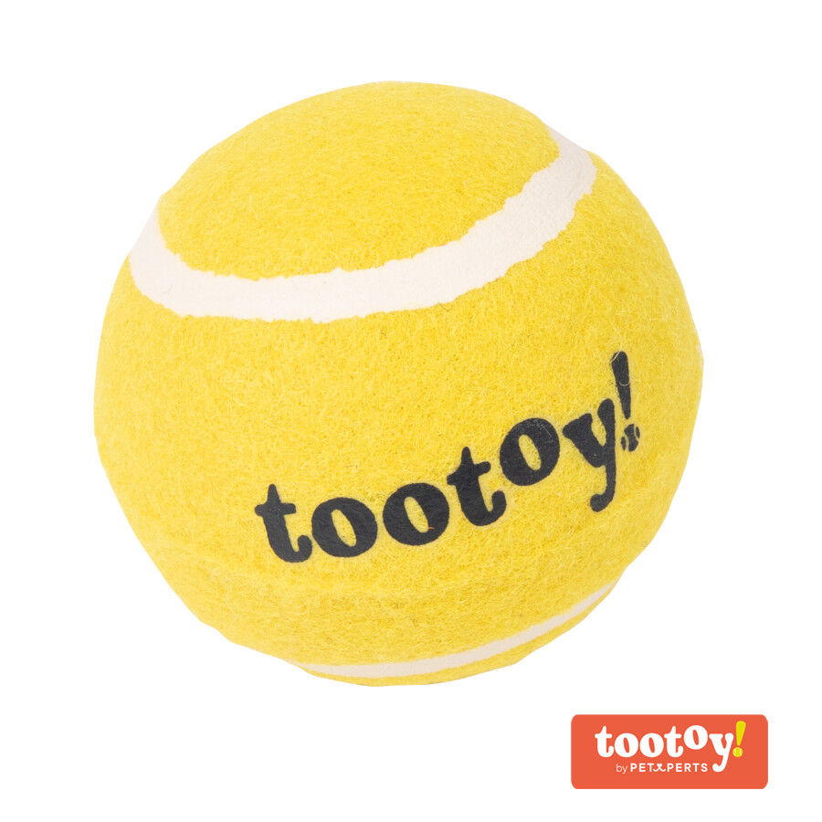 Tootoy! Chase Squeaker Ball Amarela bola de t&eacute;nis para c&atilde;es, , large Imagem n&uacute;mero 1