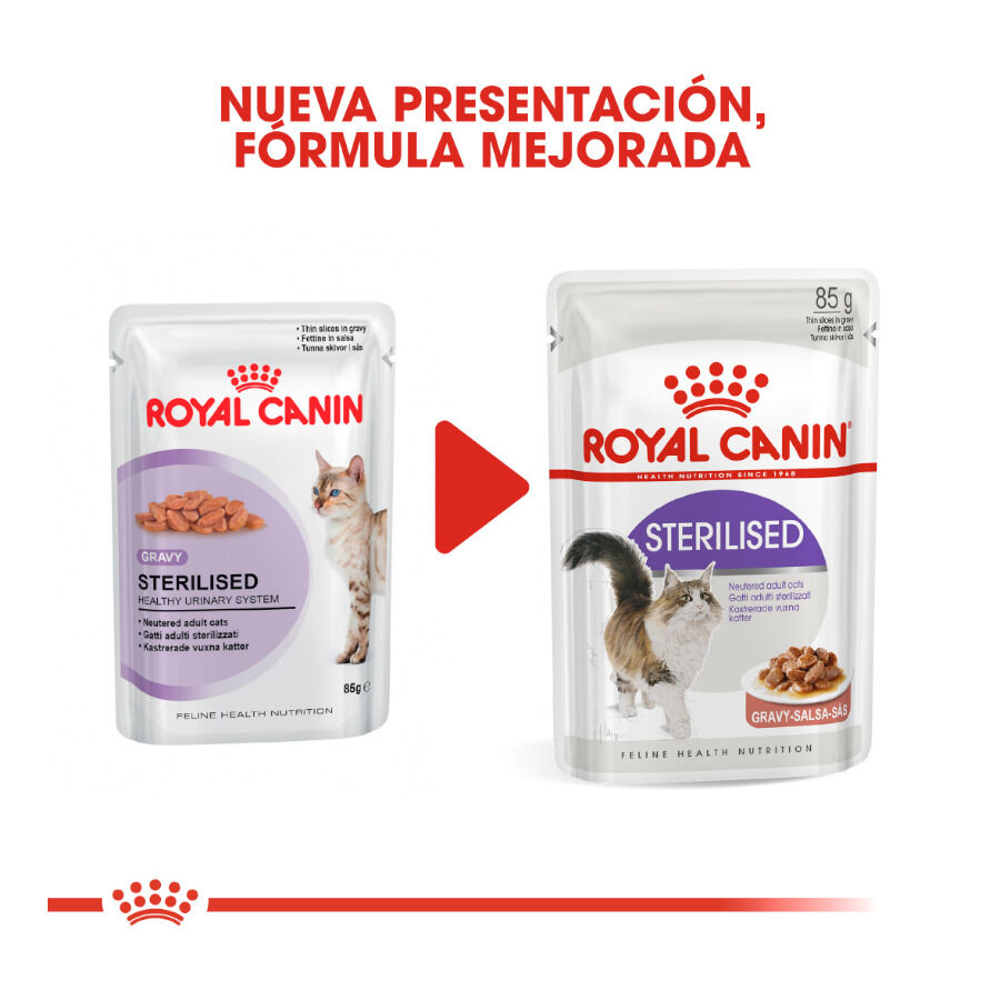 85 g Royal Canin Feline Sterilised Saquetas com molho para gatos, , large Imagem n&uacute;mero 3