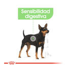 Royal Canin Digestive Care Patê em saquetas para cães, , large image number null
