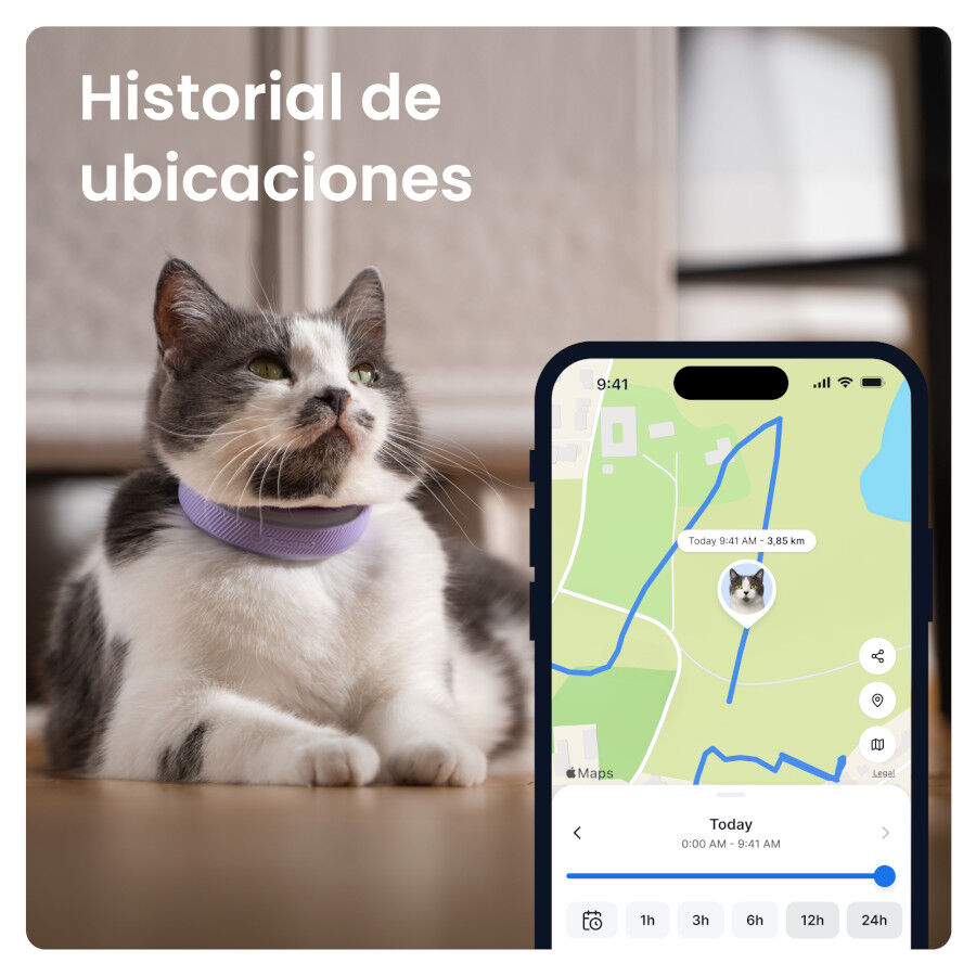 Tractive CAT 6 Mini Lavanda GPS para gatos, , large Imagem n&uacute;mero 3
