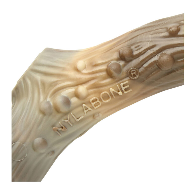 Nylabone Antler Alternative osso mordedor de nylon para cães,  Imagem número 2 Nylabone Antler Alternative osso mordedor de nylon para cães, , large Imagem número 2