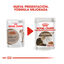 48 saquetas x 85 g Royal Canin Ageing 12+ alimento húmido com molho em saquetas para gatos Pack poupança!, , large Indicador imagem número 3