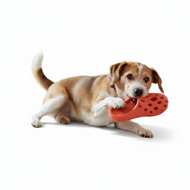 All For Paws Pantufas Air Pups Brinquedo para cães