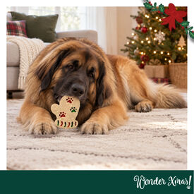 Wonder Christmas Luva de Couro Prensado Snacks para C&atilde;es