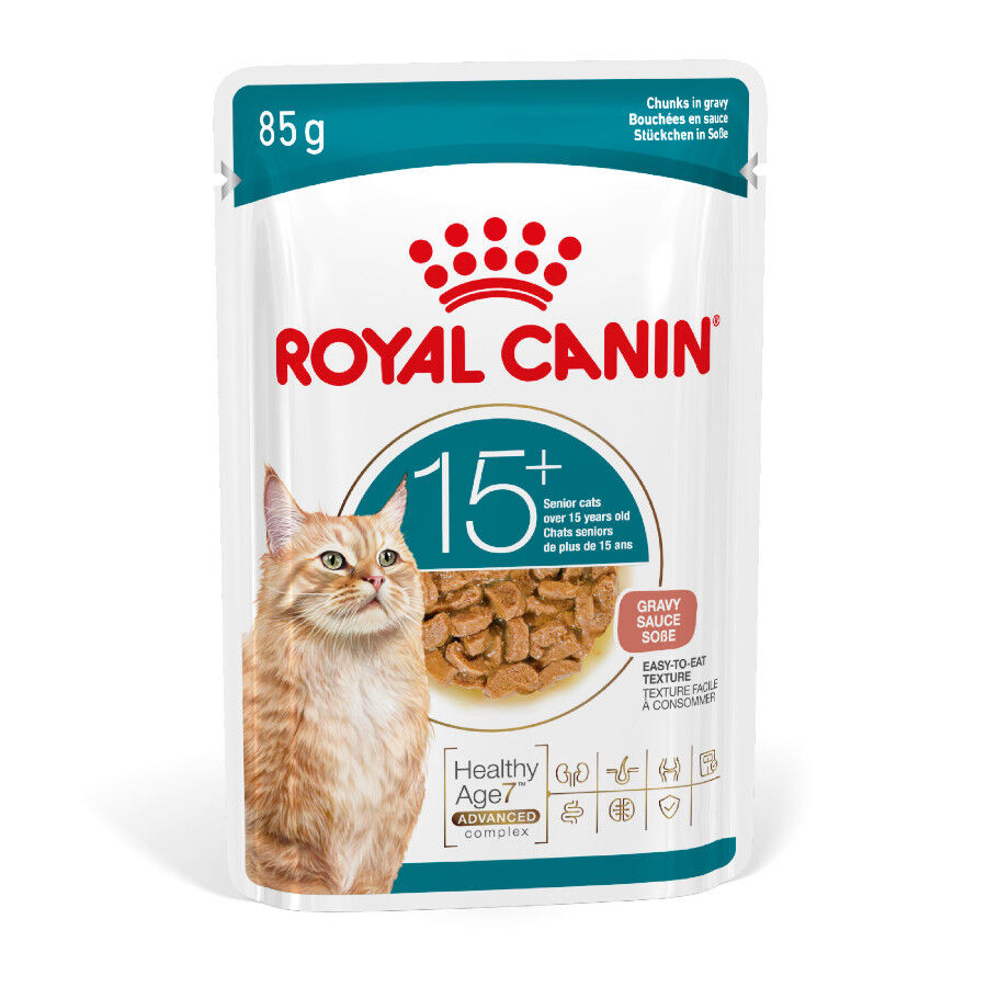 85 g Royal Canin Ageing +15 Alimento H&uacute;mido para gatos s&eacute;nior, , large Imagem n&uacute;mero 1