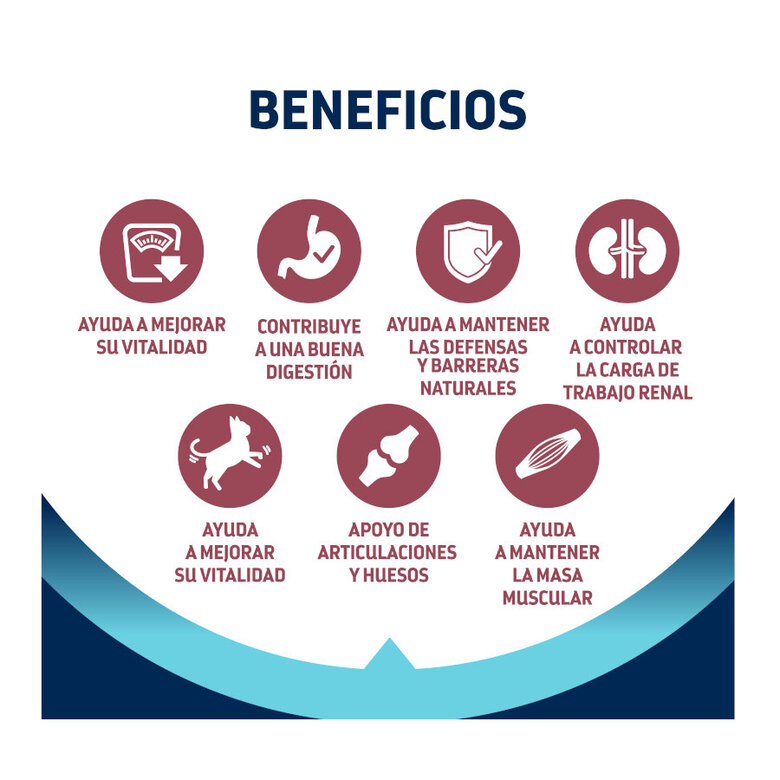 1.5 kg Advance Active Defense Sterilized +10 frango e cevada ração para gatos,  Imagem número 4 1.5 kg Advance Active Defense Sterilized +10 frango e cevada ração para gatos, , large Imagem número 4