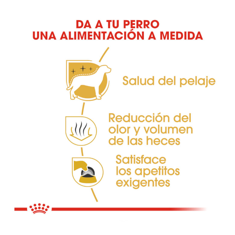 1.5 kg Royal Canin Adult Bichón Maltês ração para cães ,  Imagem número 6 1.5 kg Royal Canin Adult Bichón Maltês ração para cães , , large Imagem número 6