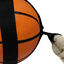 Tootoy! Chase Large Basketball bola para cães, , large Indicador imagem número 3