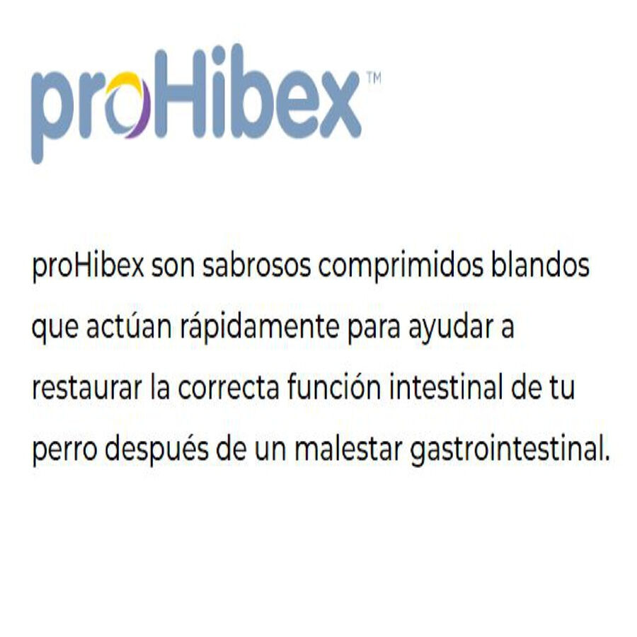 Ecuphar Prohibex Suplemento gastrointestinal para c&atilde;es, , large Imagem n&uacute;mero 4