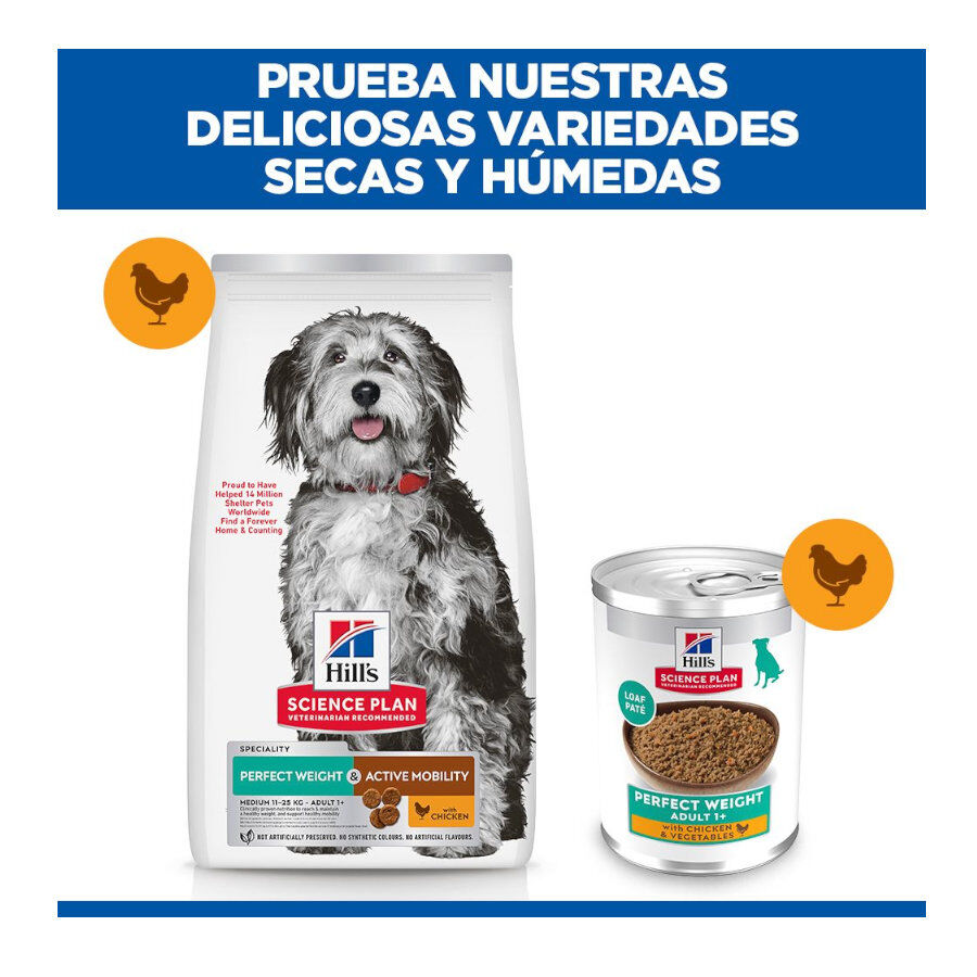Hill's Science Plan Perfect Weight e Active Mobility Medium Frango ra&ccedil;&atilde;o para c&atilde;es, , large Imagem n&uacute;mero 9