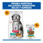 Hill's Science Plan Perfect Weight e Active Mobility Medium Frango ra&ccedil;&atilde;o para c&atilde;es, , large Indicador imagem n&uacute;mero 9