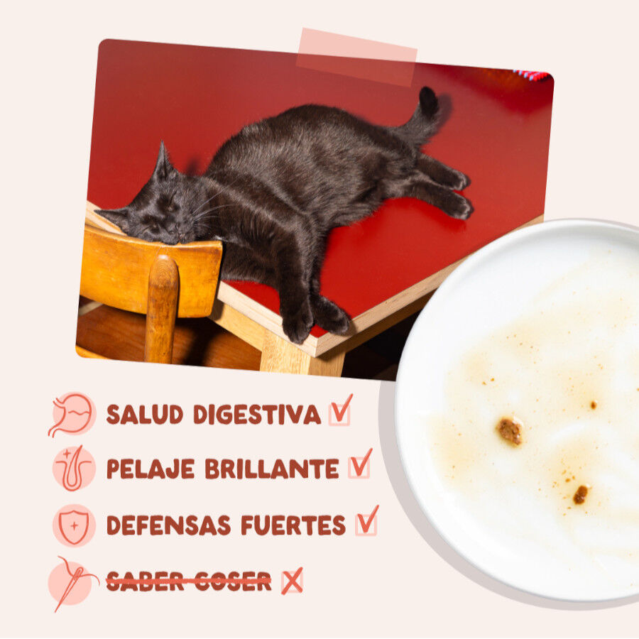 85 g Edgard & Cooper Trucha y Pollo sobre en salsa para gatos, , large Imagem n&uacute;mero 4