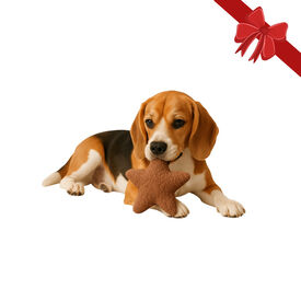 Wonder Christmas Peluche Estrela de Natal para Cães,  Wonder Christmas Peluche Estrela de Natal para Cães