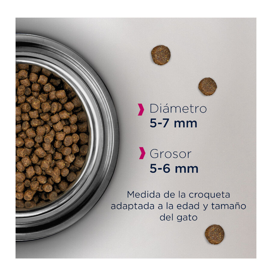 Eukanuba Kitten comida para gatos cachorros Imagem n&uacute;mero 2