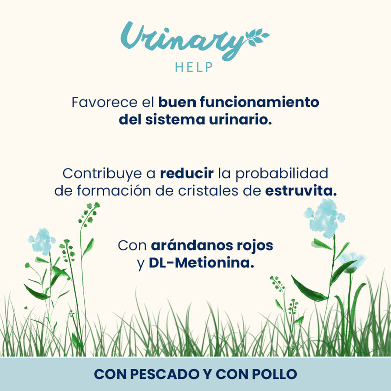 6 saquetas x 70 g Almo Nature Urinary Help Peixe e Frango saquetas para gatos – Multipack,  Imagem número 2 6 saquetas x 70 g Almo Nature Urinary Help Peixe e Frango saquetas para gatos – Multipack, , large Imagem número 2