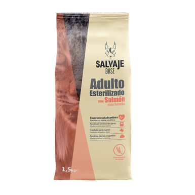 Salvaje Base Adulto Salmão Ração para gatos