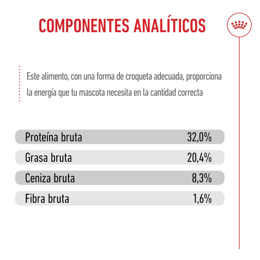 15 kg Royal Canin Puppy Medium ra&ccedil;&atilde;o para c&atilde;es, , large Imagem n&uacute;mero 8