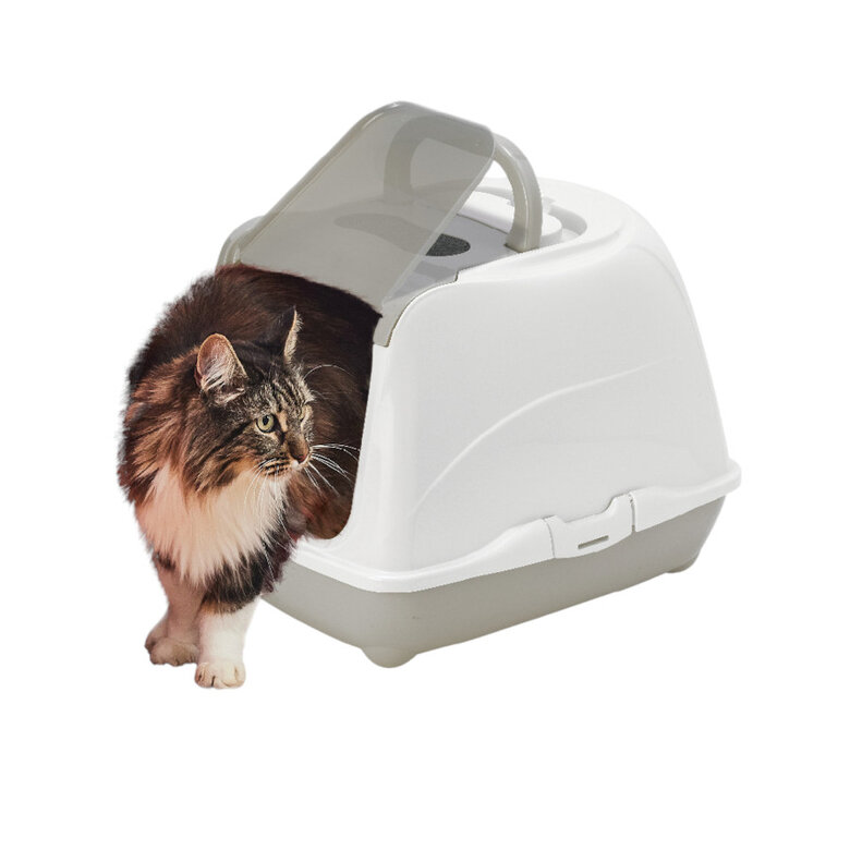 Nice Care Caixa de areia Mega Flip Large verde para gatos,  Imagem número 1 Nice Care Caixa de areia Mega Flip Large verde para gatos, , large Imagem número 1