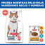 10 kg Ra&ccedil;&atilde;o Hill's Science Plan Sterilised Adult Ra&ccedil;&atilde;o de salm&atilde;o para gatos, , large Indicador imagem n&uacute;mero 8