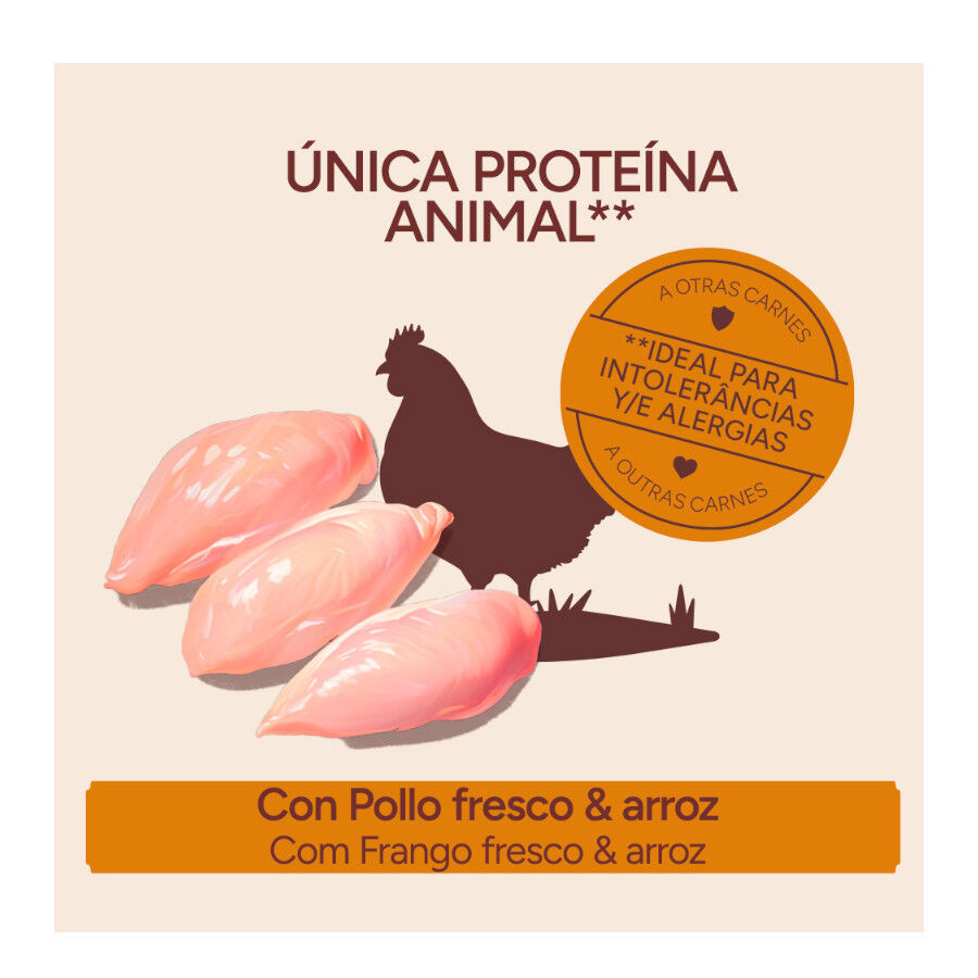 10 kg Criadores Monoproteico Adulto Ra&ccedil;&atilde;o de frango para c&atilde;es, , large Imagem n&uacute;mero 3