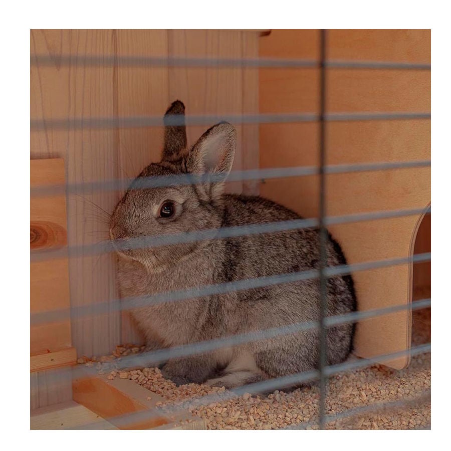 &nbsp;Ferplast coelheira de dois n&iacute;veis, , large Imagem n&uacute;mero 3