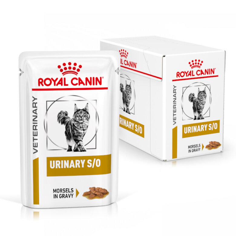 12 saquetas x 85 g Pack 12 Saquetas Royal Canin Veterinary Diet Feline Urinary S/O 85 g,  Imagem número 2 12 saquetas x 85 g Pack 12 Saquetas Royal Canin Veterinary Diet Feline Urinary S/O 85 g, , large Imagem número 2
