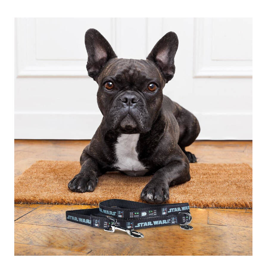 Disney Star Wars Trela com estampado para c&atilde;es, , large Imagem n&uacute;mero 3