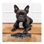 Disney Star Wars Trela com estampado para cães, , large Indicador imagem número 3