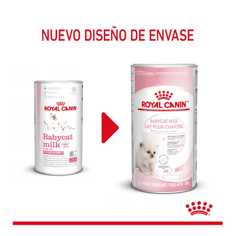 300 g Royal Canin Leite para gatinhos primeiro ano,  Imagem número 2 300 g Royal Canin Leite para gatinhos primeiro ano, , large Imagem número 2