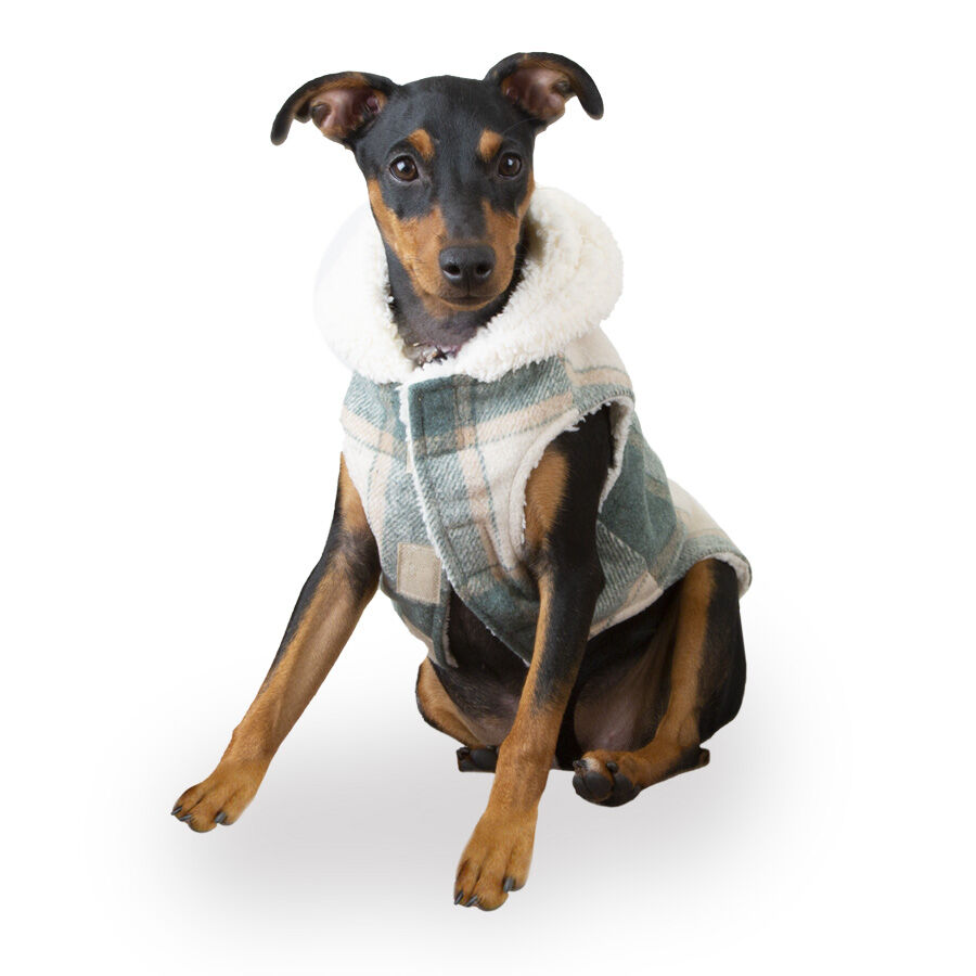 Outech Casaco Xadrez para c&atilde;es, , large Imagem n&uacute;mero 1