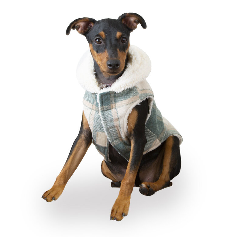 Outech Casaco Xadrez para cães,  Imagem número 1 Outech Casaco Xadrez para cães, , large Imagem número 1